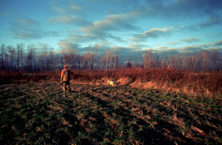 Don Craig Hedgerow Roo Full Blast.jpg